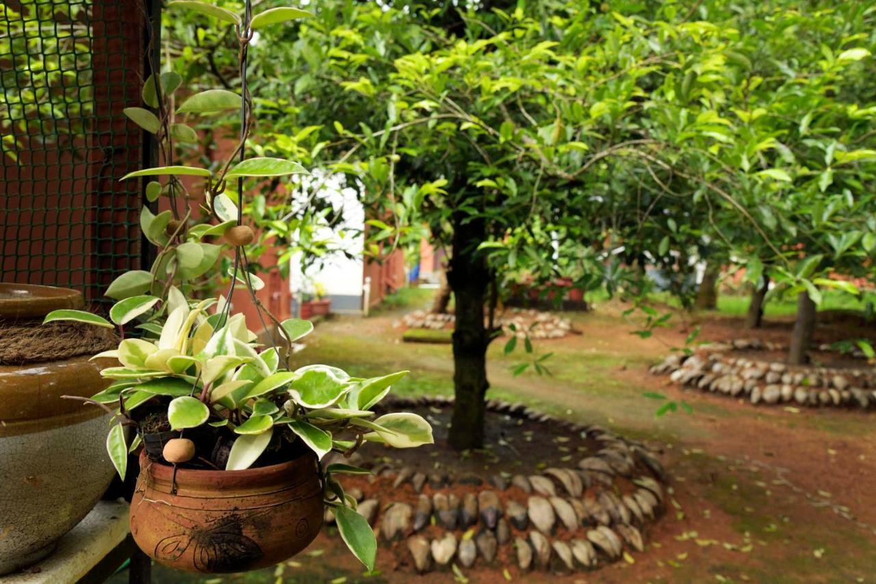 Stayvista At La Riva Heritage Villa With Bicycle Alappuzha Luaran gambar